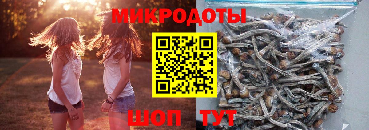 Псилоцибиновые грибы прущие грибы  Вход с VPN  Псилоцибиновые грибы ЛСД  Усть-Кут 